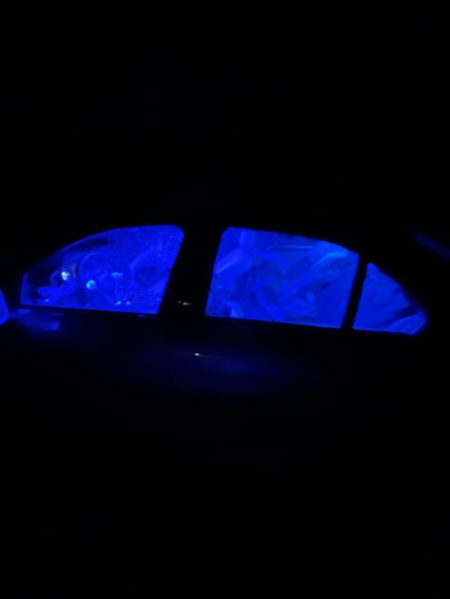 Blue interior lights 1