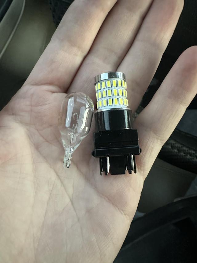 Bulb Size Comparison