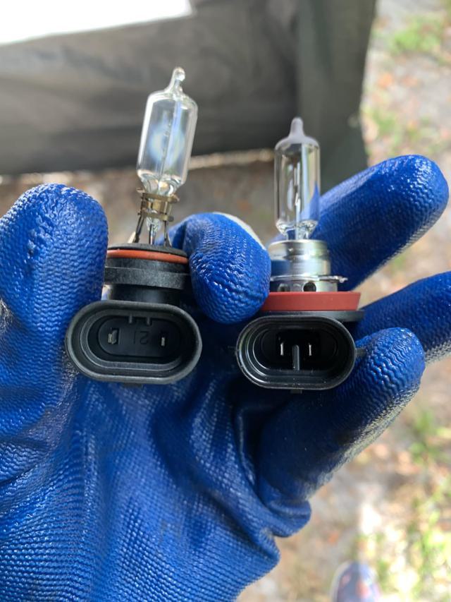 SYLVANIA H11 XtraVision Headlight Bulbs in hand