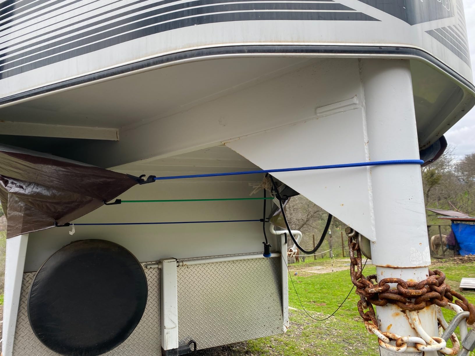 Horse trailer with bungee cords