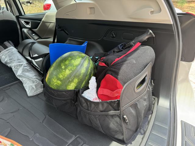 Deosk Car Trunk Organizer in use